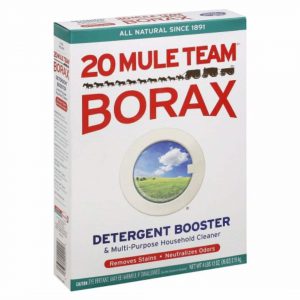borax get rid of ants